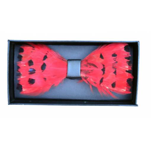 Foto - Drevený motýlik - Elegantný s perím design 4